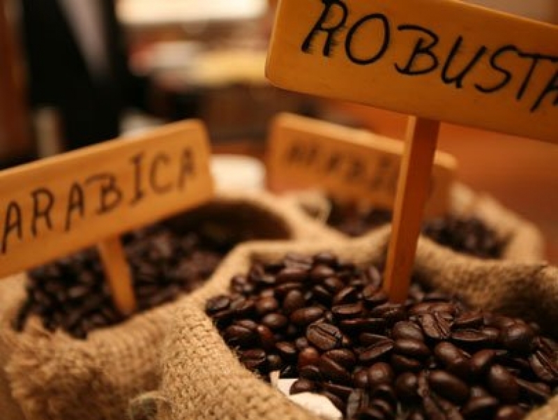 Sự kết hợp giữa arabica và robusta